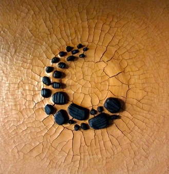 Dépôts carbonifères I